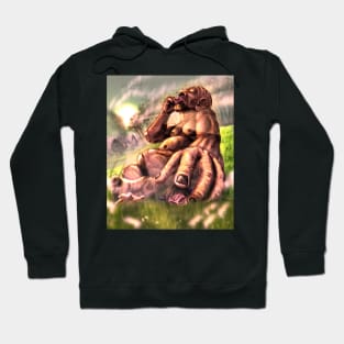 The Picnic Hoodie